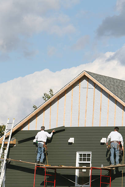 Professional Siding Services in Polo, IL